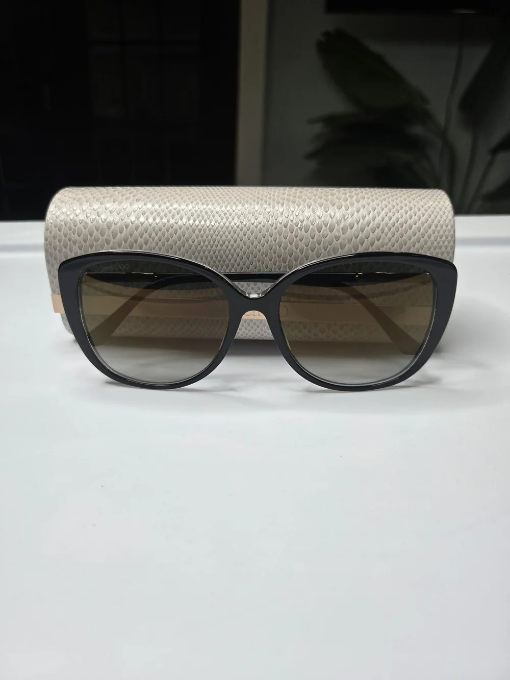 Jimmy Choo Beige Textured Sunglasses Case